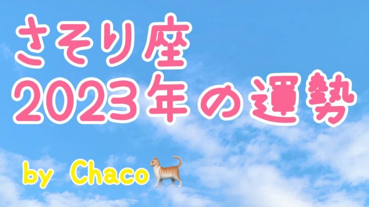 蠍座🌱2023年タロット占い🌱ラッキーチャンス！自由で解放的になれる！