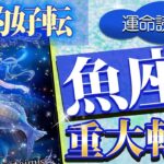 【困難がチャンスに‼️】🌈うお座が今ヤバい🌈これから最高に幸せな瞬間がやってきます💓【恐ろしく当たるルノルマンカードリーディング＆オラクル】