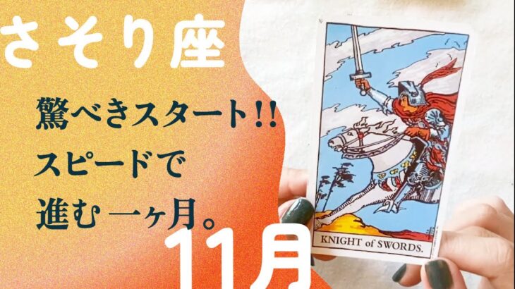 「新しい始まり」ものすごいスピードで展開する❗️11月の運勢　蠍座