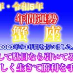 【2023年・令和5年・♋️蟹座・かに座】🔮タロット占い・年末特別企画・星座別年間運勢・仕事・金運・恋愛・人間関係・健康・総合占い✨⚠️概要欄ご覧下さいませ❤️