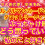 片思い、年の差恋愛、複雑恋愛★ぶっちゃけ最近どう思っている？私の事好き？お相手の気持ち深堀りリーディング。★ルノルマンカード３６枚、グランタブロースプレッド＆タロット★#片思いタロット#年の差恋愛