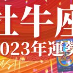 【おうし座】2023年運勢　最強すぎる衝撃のカード展開…🌈信じられないシンクロニシティ、運命が変わる、人生のターニングポイント【タロット占い】【オラクルカード】【仕事・恋愛・人間関係】