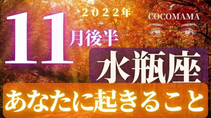 水瓶座♒️ 【１１月後半あなたに起きること🌈】2022　ココママの個人鑑定級タロット占い🔮