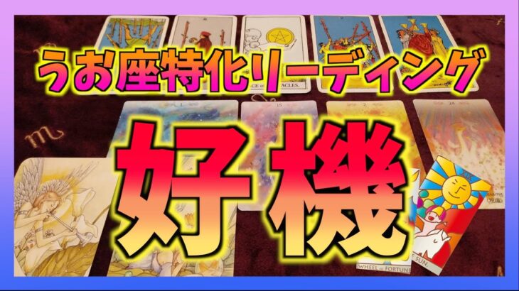 【新展開へ！】うお座さんに訪れる好機とは？嬉しくなりました・・・☺️！※期間は決めてないです🐟