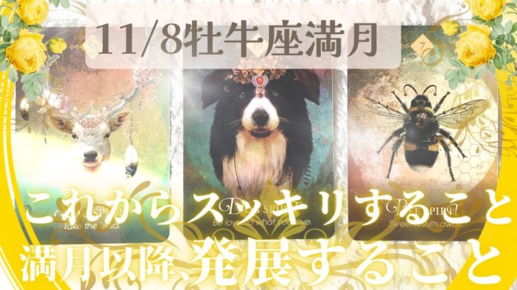 【11/8牡牛座満月】自然体で豊かになる🧡スッキリすること、発展すること💫タロット＆オラクル＆ルノルマン