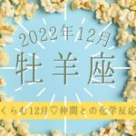 おひつじ座♈2022年12月 │全体運・恋愛・仕事・人間関係 テーマ別タロットリーディング