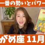 みずがめ座♒️11月後半🔮今年一番の勢いとパワー！！最高のギフトを受け取って！！🎁✨