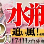 【みずがめ座】本格的に時代の波を創る☆金運も飛躍の12月！2022年12月の運勢【癒しの174Hz当たる占い】