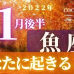 魚座♓️ 【１１月後半あなたに起きること🌈】2022　ココママの個人鑑定級タロット占い🔮