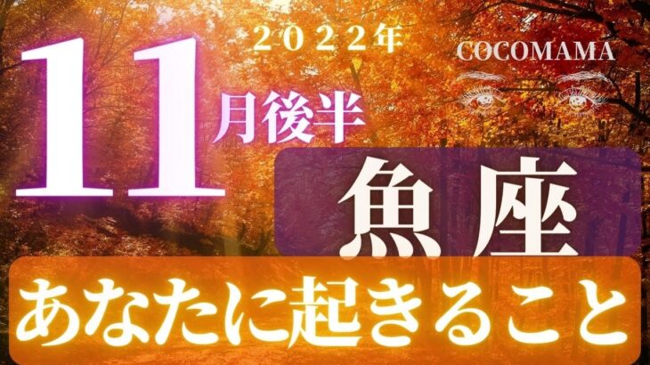 魚座♓️ 【１１月後半あなたに起きること🌈】2022　ココママの個人鑑定級タロット占い🔮