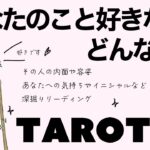 【タロット占い・再アップ】あなたのことが好きな人ってどんな人？全力ガチ鑑定👼✨✨お相手の外見・内面・あなたの気持ちなど詳細リーディング🍀✨✨【当たる３択占い】