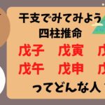 【四柱推命】干支でみる戊子、戊寅、戊辰、戊午、戊申、戊戌