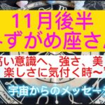 みずがめ座さん⭐️11月後半⭐️“  高い意識へ、強さ、美しさ、楽しさに気付く時〜” ⭐️宇宙からのメッセージ⭐️シリアン・スターシード・タロット⭐️アルクトゥリアン・プレイディアン・ハイブリッド