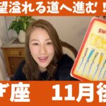 やぎ座♑️11月後半🔮希望溢れる道へ進む！！本来の力を発揮できるチャンス到来！！