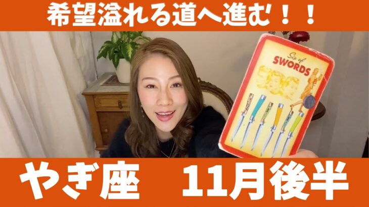 やぎ座♑️11月後半🔮希望溢れる道へ進む！！本来の力を発揮できるチャンス到来！！