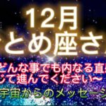 おとめ座さん⭐️12月⭐️“  どんな事でも内なる直感を信じて進んでください〜”⭐️ 宇宙からのメッセージ⭐️シリアン・スターシード・タロット⭐️Virgo♍️