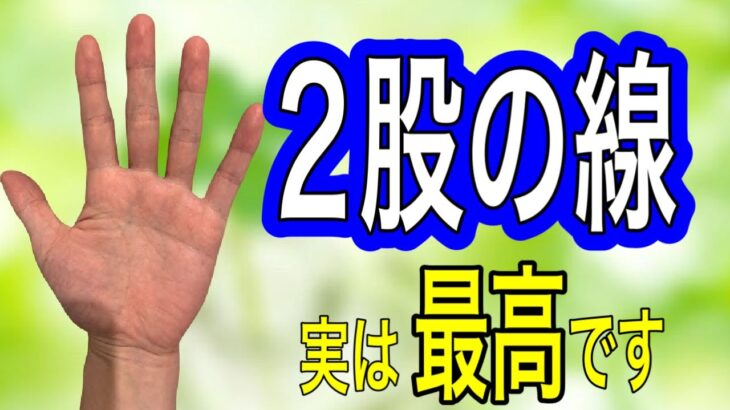 枝分かれ線の幸運な意味を一挙公開