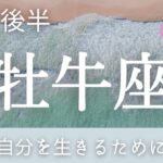 【牡牛座】11月後半～自分を生きるために～新カード使います♡【ルノルマンカード＆タロット＆オラクルカードリーディング】