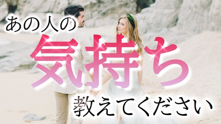 【⚠️辛口あります😳】見た時がタイミング❣️相手の気持ちをタロット恋愛占い🦋片思い複雑恋愛✨個人鑑定級カードリーディング