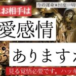 お相手は恋愛感情ありますか？❤️【恋愛✴︎辛口】忖度一切無し、タロット本格リーディング