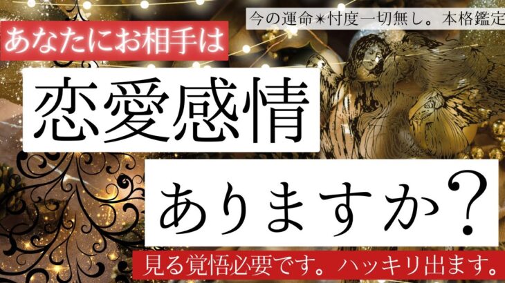 お相手は恋愛感情ありますか？❤️【恋愛✴︎辛口】忖度一切無し、タロット本格リーディング