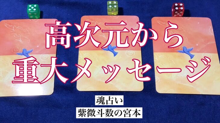 【魂占い】高次元からの重大メッセージを占いました！