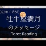 牡牛座満月のメッセージ【2022年11月8日】♉🌕️古いパターンからの解放。あなたが信じている道へと歩んでいく