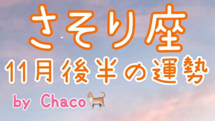 11月後半 蠍座 タロット　未来で笑っているのはアナタ！