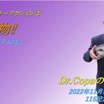 【Dr.Copaの開運風水】2022年11月5日（土）115記念日