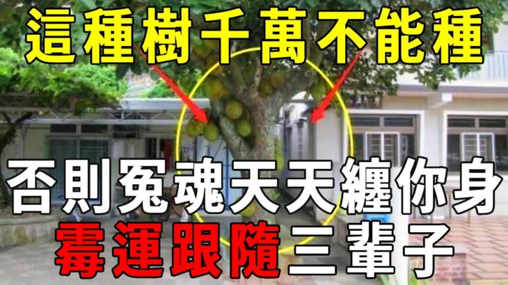 家中有樹旺風水，但這種樹千萬不能種！否則冤魂天天纏你身，霉運跟隨三輩子！【曉書說】