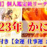 神展開🌈🐰2023年蟹座の運勢♋を個人鑑定級で深堀します✨占星術&タロット・オラクルリーディング🐉✨【恋愛運,金運,仕事運,かに座,占い】