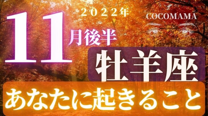 牡羊座♈️ 【１１月後半あなたに起きること🌈】2022　ココママの個人鑑定級タロット占い🔮