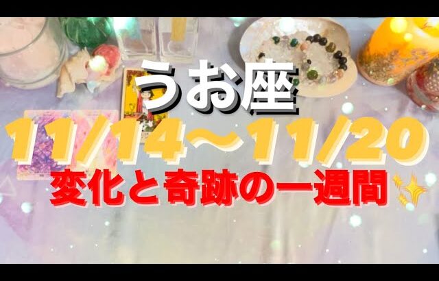 うお座✨11/14～20🌈週刊リーディング🎀#月星座 #tarot #タロット占いうお座 #タロット恋愛 #タロット占い魚座 #タロット占い