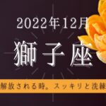 しし座♌2022年12月 │全体運・恋愛・仕事・人間関係 テーマ別タロットリーディング