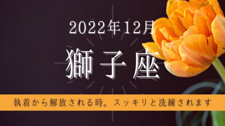 しし座♌2022年12月 │全体運・恋愛・仕事・人間関係 テーマ別タロットリーディング