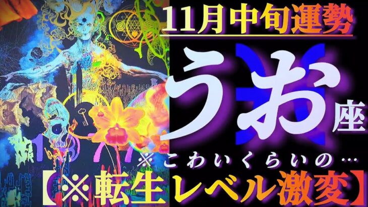 【魚座♓11月中旬運勢】転生レベルの激変！！大丈夫、怖くないですよ🤗　✡️4択で📬付き✡️　❨タロット占い❩