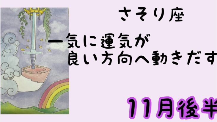 【11月後半の運勢】蠍座　目的が定まったら一気に運気が良い方向に動き出す！超細密✨怖いほど当たるかも知れない😇#星座別#タロットリーディング#蠍座