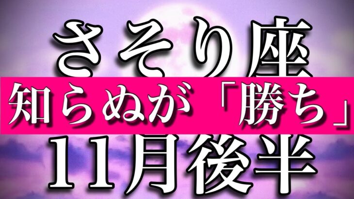 さそり座♏︎11月後半 お誕生日おめでとうございます🎂🎁　知らぬが「勝ち」の時　Scorpio✴︎November