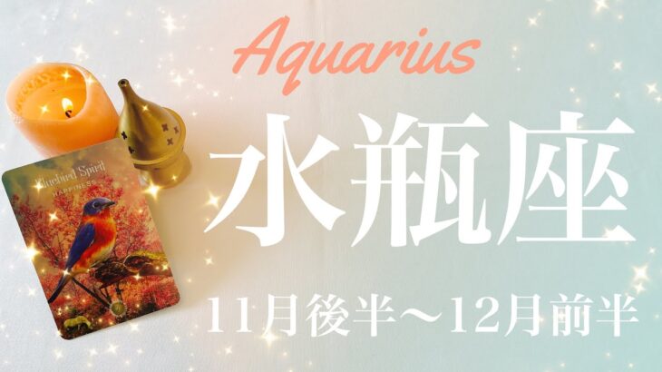 みずがめ座♒️2022年11月後半〜12月前半🌝前進、結果がでる、相思相愛、忘れていた絆を思い出すとき