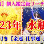 神展開🌈🐰2023年 水瓶座の運勢♒を個人鑑定級で深堀します✨占星術&タロット・オラクルリーディング🐉✨【恋愛運,金運,仕事運,みずがめ座,占い】