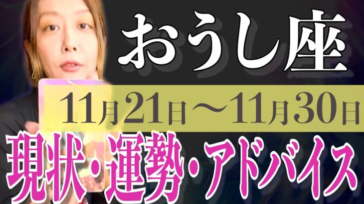 おうし座さん11月21日から30日の運勢、アドバイス🍀*゜タロット占い