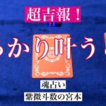 【魂占い】うっかり叶うことを占いました！