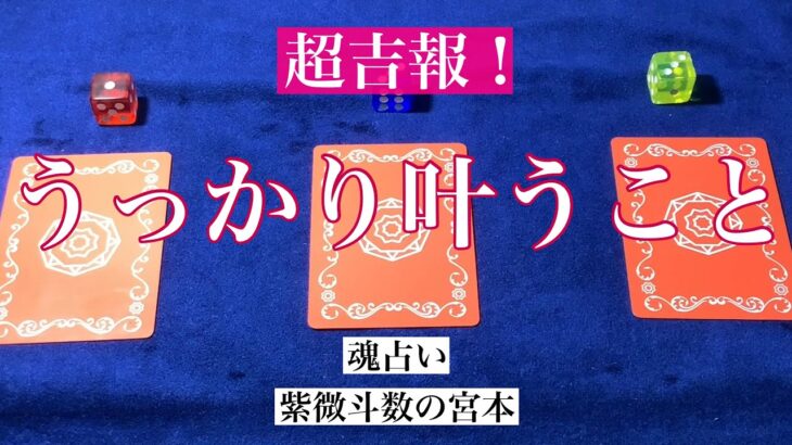 【魂占い】うっかり叶うことを占いました！