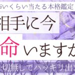 お相手は本命いますか？【恋愛♦︎辛口】忖度一切無しタロット本格リーディング、片想い