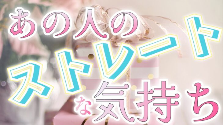 【所々辛口です⚠️過剰なアゲ&忖度ナシ✋リーディング】相手の気持ち🧚‍♀️タロット恋愛占いルノルマンオラクルでカードリーディング🐈個人鑑定級