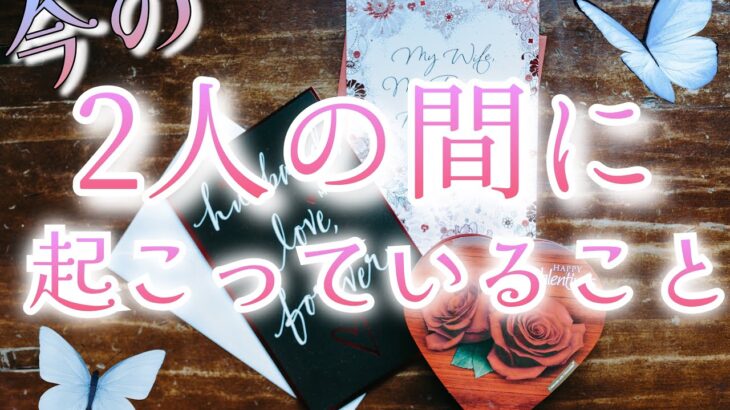 【驚きの展開/厳しめあります🥀】相手の気持ちをタロットで深掘りカードリーディング🕊ルノルマンオラクル片思い複雑恋愛✨個人鑑定級占い