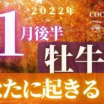 牡牛座♉️ 【１１月後半あなたに起きること🌈】2022　ココママの個人鑑定級タロット占い🔮