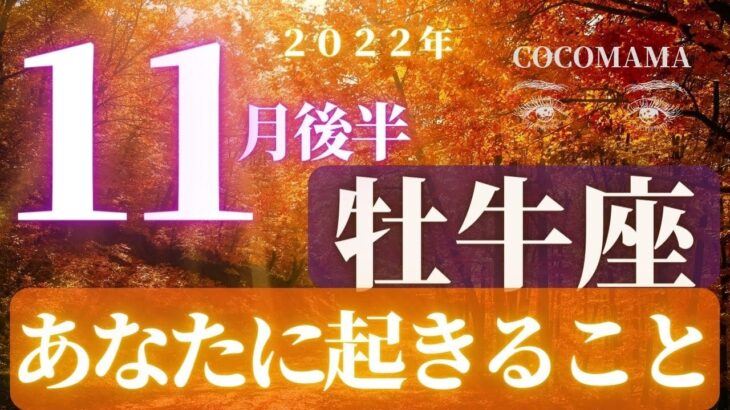 牡牛座♉️ 【１１月後半あなたに起きること🌈】2022　ココママの個人鑑定級タロット占い🔮