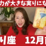 さそり座♏️12月前半🔮行動力が大きな実りになる！！新たな挑戦を楽しんで！！