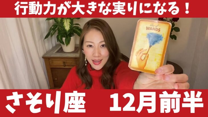 さそり座♏️12月前半🔮行動力が大きな実りになる！！新たな挑戦を楽しんで！！